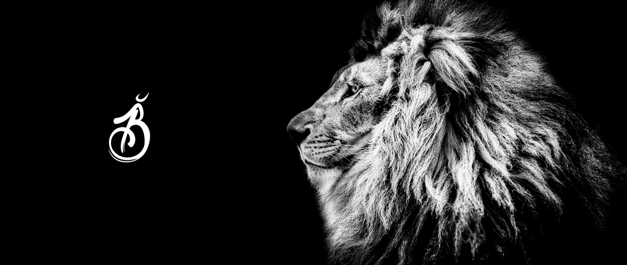 Creatividad, el origen de todo (1)